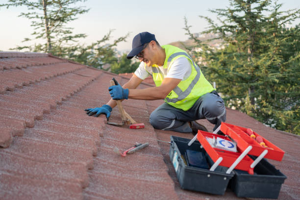 Best Flat Roof Repair Services  in Devola, OH